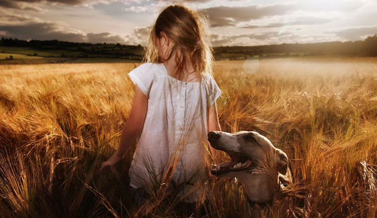 soyixing的個人主頁（封面預(yù)覽） - 主頁封面設(shè)置 - 站酷設(shè)計師soyixing原創(chuàng)素材 - 站酷ZCOOL