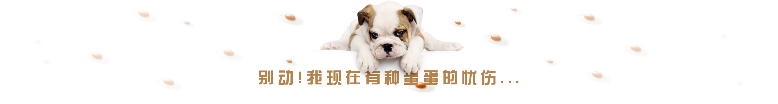 驍馬哥的個人主頁（封面預覽） - 主頁封面設置 - 站酷設計師驍馬哥原創(chuàng)素材 - 站酷ZCOOL