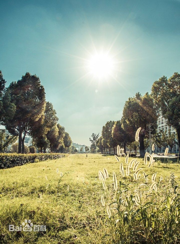 jay1000cs的個人主頁（封面預(yù)覽） - 主頁封面設(shè)置 - 站酷設(shè)計(jì)師jay1000cs原創(chuàng)素材 - 站酷ZCOOL