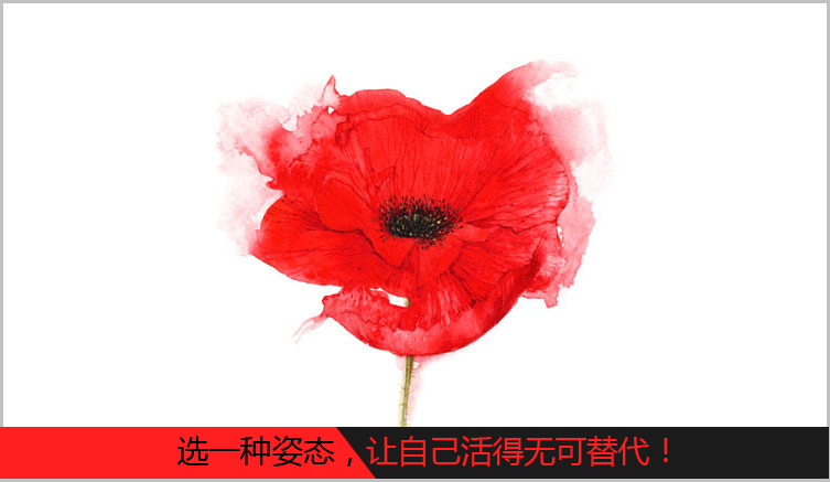 苒小白的个人主页（封面预览） - 主页封面设置 - 站酷设计师苒小白原创素材 - 站酷ZCOOL