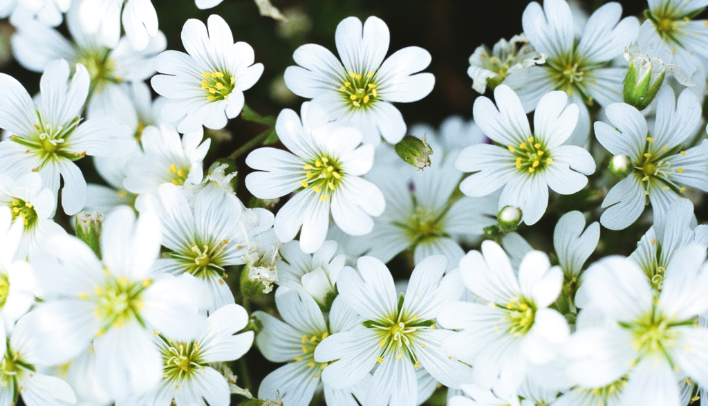 圓法的個(gè)人主頁(yè)（封面預(yù)覽） - 主頁(yè)封面設(shè)置 - 站酷設(shè)計(jì)師圓法原創(chuàng)素材 - 站酷ZCOOL