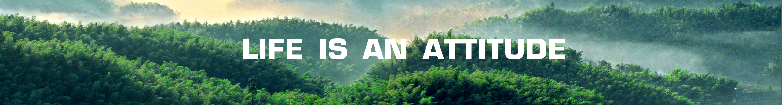 單眼看世界QAQ的個(gè)人主頁（封面預(yù)覽） - 主頁封面設(shè)置 - 站酷設(shè)計(jì)師單眼看世界QAQ原創(chuàng)素材 - 站酷ZCOOL