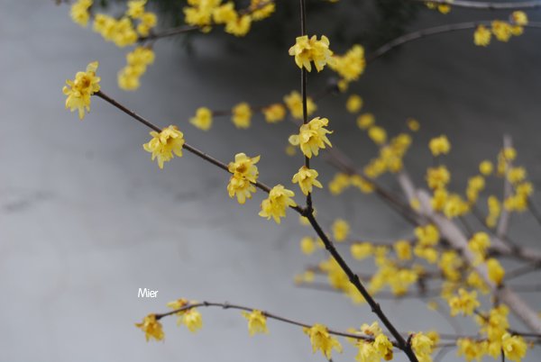 微米创意的个人主页（封面预览） - 主页封面设置 - 站酷设计师微米创意原创素材 - 站酷ZCOOL