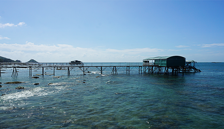 愛吃零食面的個(gè)人主頁（封面預(yù)覽） - 主頁封面設(shè)置 - 站酷設(shè)計(jì)師愛吃零食面原創(chuàng)素材 - 站酷ZCOOL