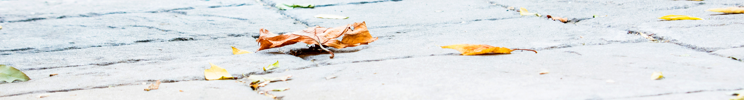 小不高興的個人主頁（封面預(yù)覽） - 主頁封面設(shè)置 - 站酷設(shè)計師小不高興原創(chuàng)素材 - 站酷ZCOOL