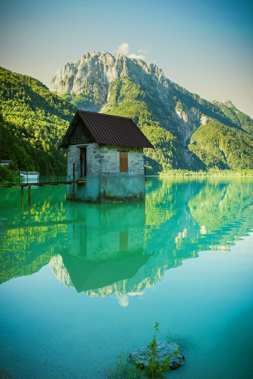 930494018海洋的個人主頁（封面預覽） - 主頁封面設置 - 站酷設計師930494018海洋原創(chuàng)素材 - 站酷ZCOOL