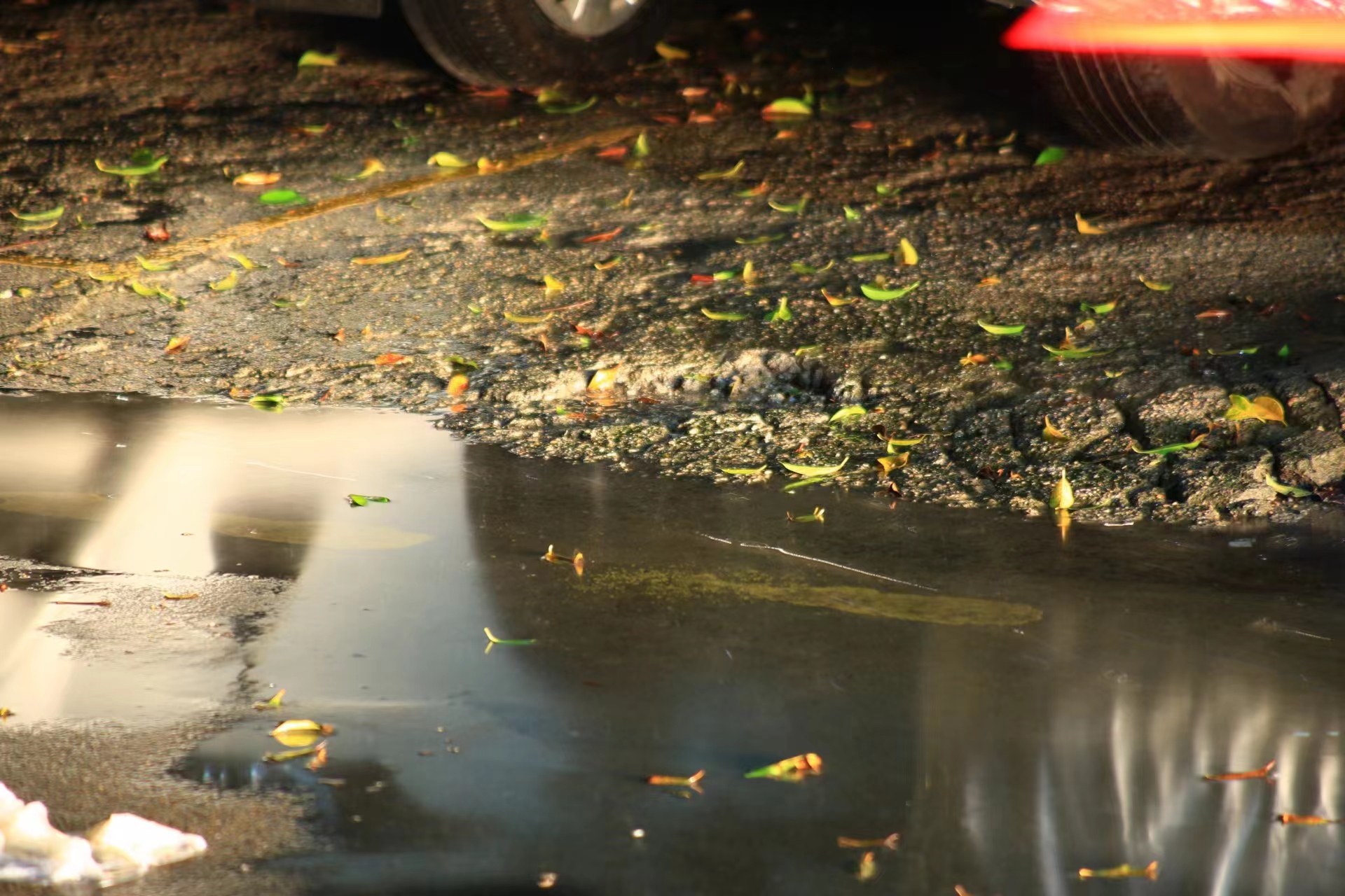 Z339566316的个人主页（封面预览） - 主页封面设置 - 站酷设计师Z339566316原创素材 - 站酷ZCOOL