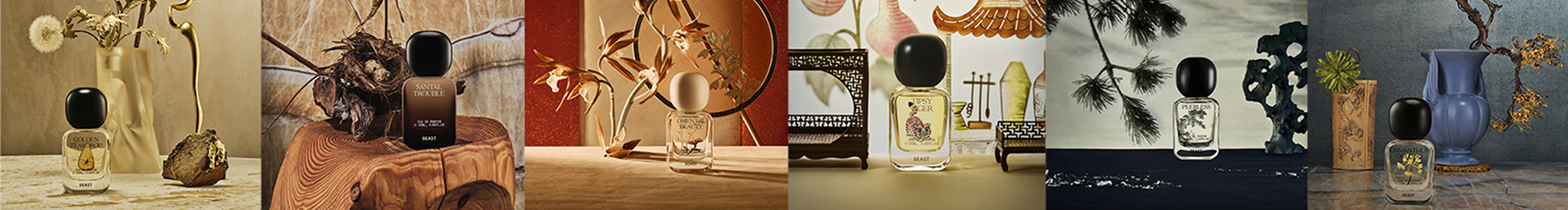 DDingg的个人主页（封面预览） - 主页封面设置 - 站酷设计师DDingg原创素材 - 站酷ZCOOL