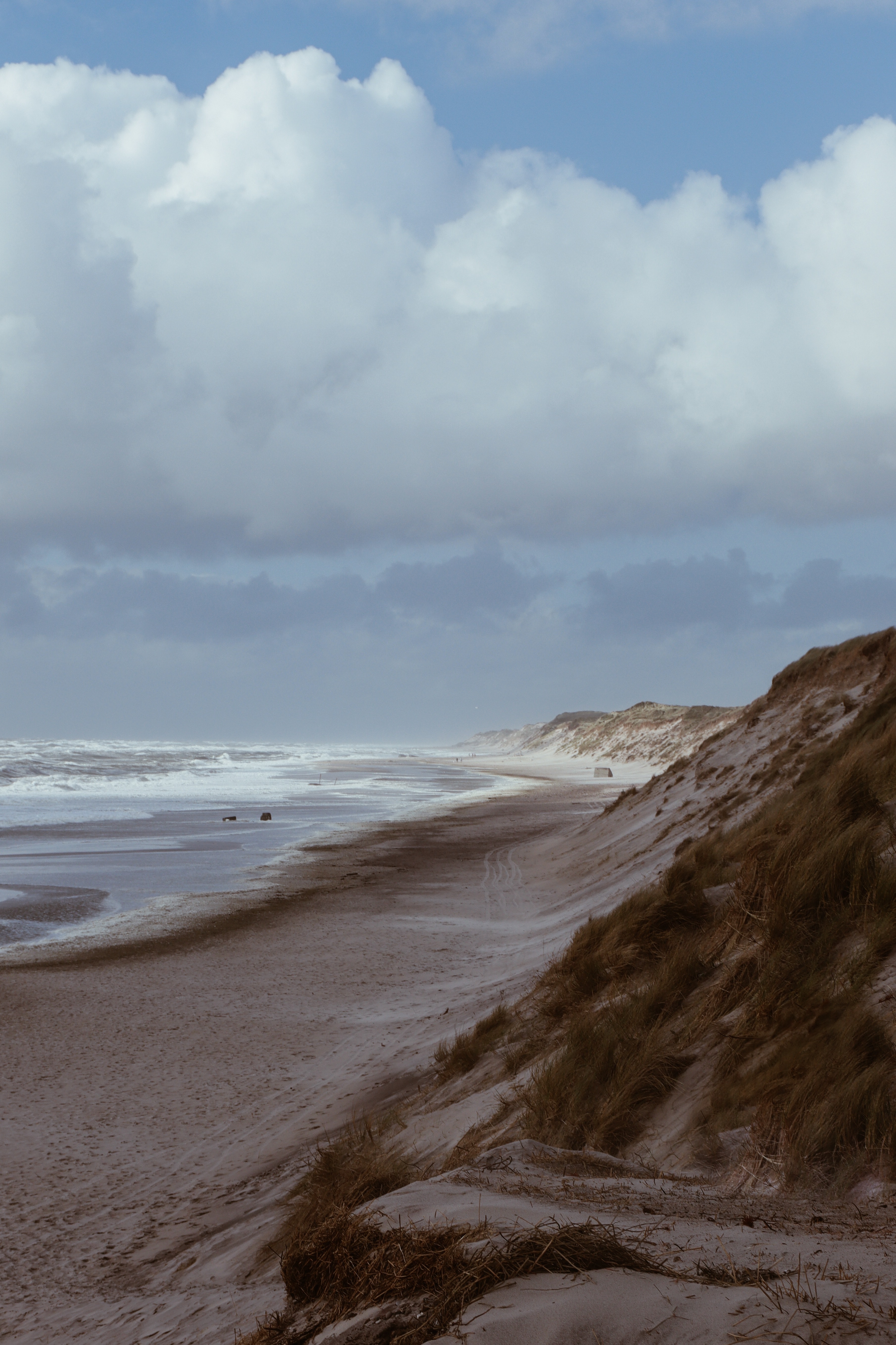 流浪的维纳斯的个人主页（封面预览） - 主页封面设置 - 站酷设计师流浪的维纳斯原创素材 - 站酷ZCOOL