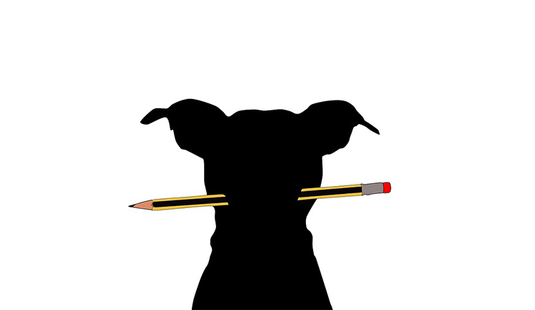 Osimy的个人主页（封面预览） - 主页封面设置 - 站酷设计师Osimy原创素材 - 站酷ZCOOL