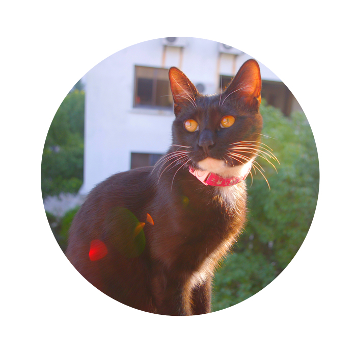 Heyley的个人主页（封面预览） - 主页封面设置 - 站酷设计师Heyley原创素材 - 站酷ZCOOL