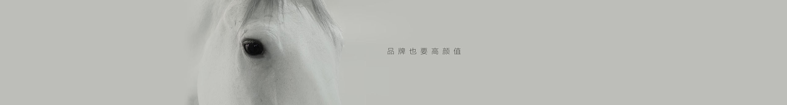 翼马品牌策划设计的个人主页（封面预览） - 主页封面设置 - 站酷设计师翼马品牌策划设计原创素材 - 站酷ZCOOL