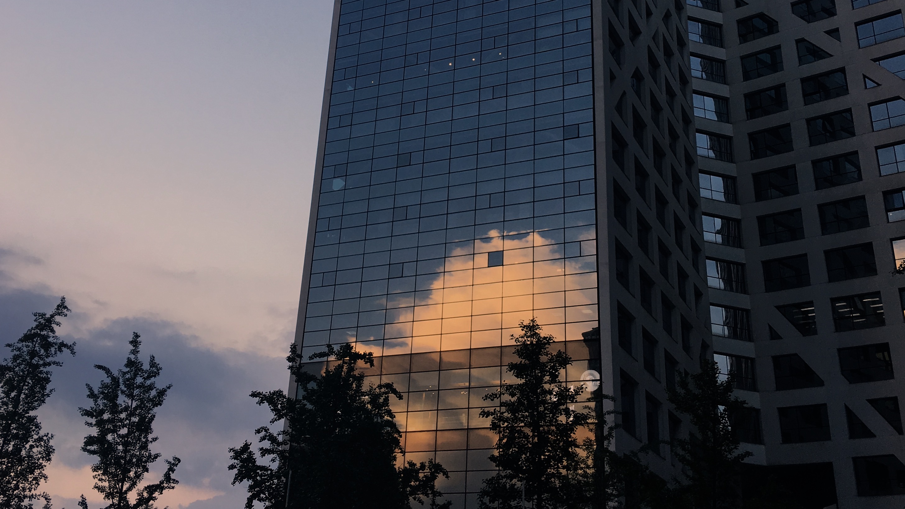 Charlottexin的个人主页（封面预览） - 主页封面设置 - 站酷设计师Charlottexin原创素材 - 站酷ZCOOL