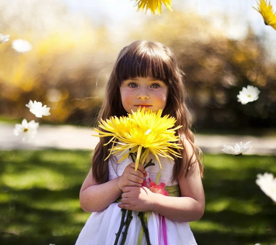 埋在花園中的個人主頁（封面預覽） - 主頁封面設(shè)置 - 站酷設(shè)計師埋在花園中原創(chuàng)素材 - 站酷ZCOOL