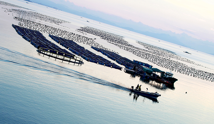 W耗W子W的個(gè)人主頁（封面預(yù)覽） - 主頁封面設(shè)置 - 站酷設(shè)計(jì)師W耗W子W原創(chuàng)素材 - 站酷ZCOOL