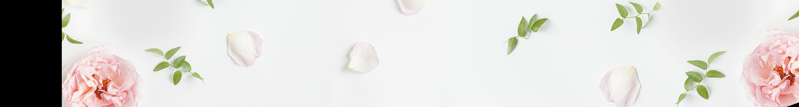 我是怪獸我會(huì)瘦ai的個(gè)人主頁(yè)（封面預(yù)覽） - 主頁(yè)封面設(shè)置 - 站酷設(shè)計(jì)師我是怪獸我會(huì)瘦ai原創(chuàng)素材 - 站酷ZCOOL