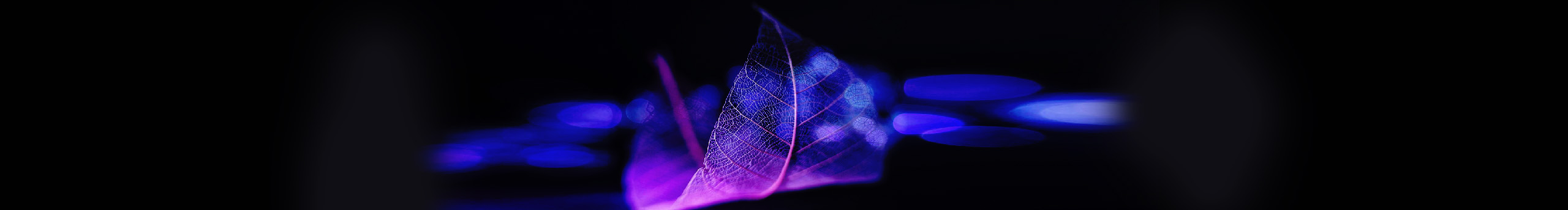 贝中的个人主页（封面预览） - 主页封面设置 - 站酷设计师贝中原创素材 - 站酷ZCOOL