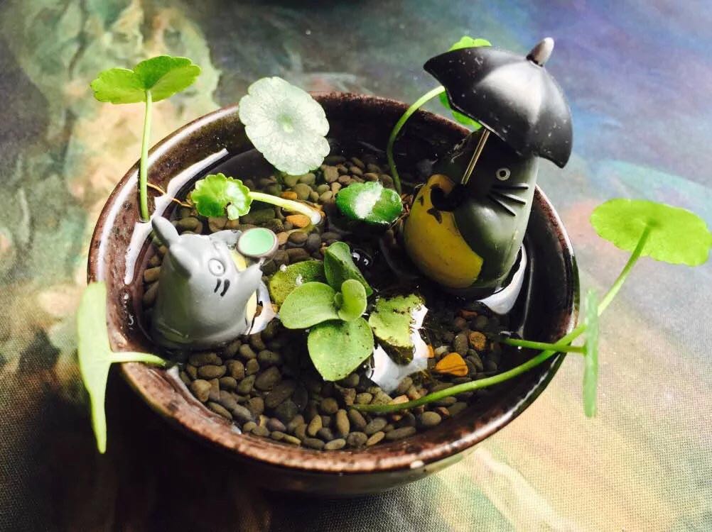 TDevil的个人主页（封面预览） - 主页封面设置 - 站酷设计师TDevil原创素材 - 站酷ZCOOL