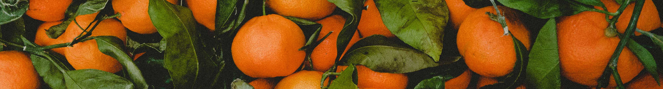 听雪飘呀飘的个人主页（封面预览） - 主页封面设置 - 站酷设计师听雪飘呀飘原创素材 - 站酷ZCOOL