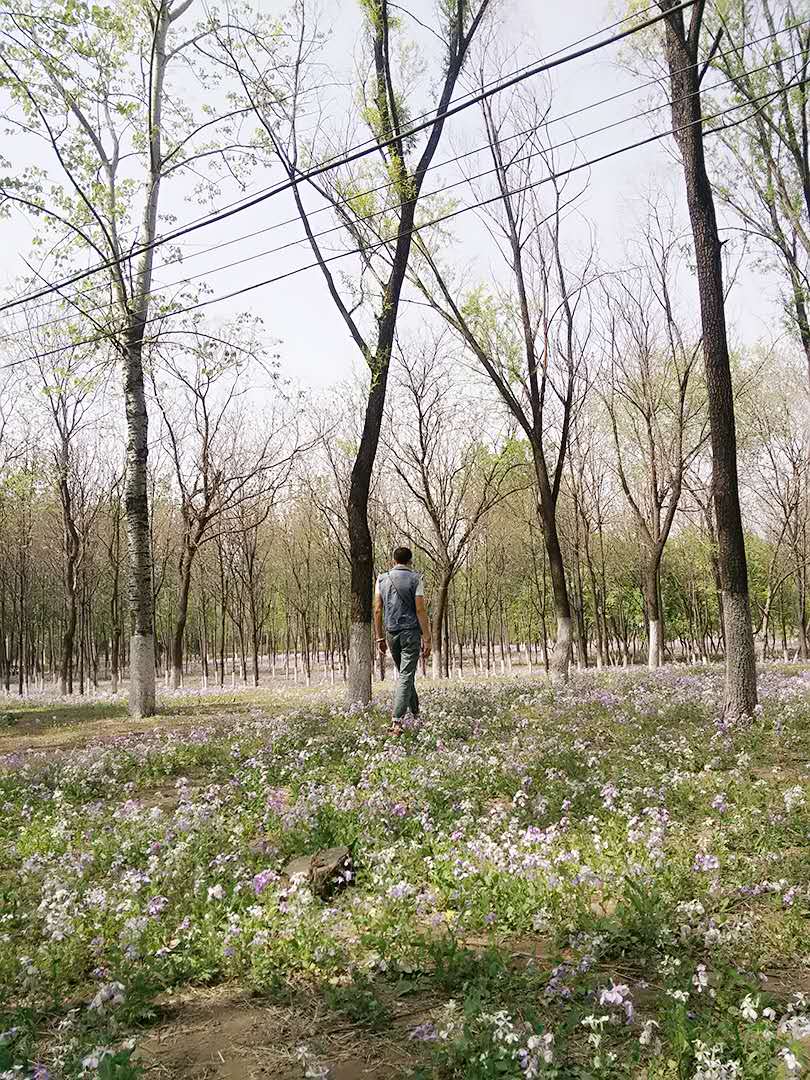 成波的个人主页（封面预览） - 主页封面设置 - 站酷设计师成波原创素材 - 站酷ZCOOL