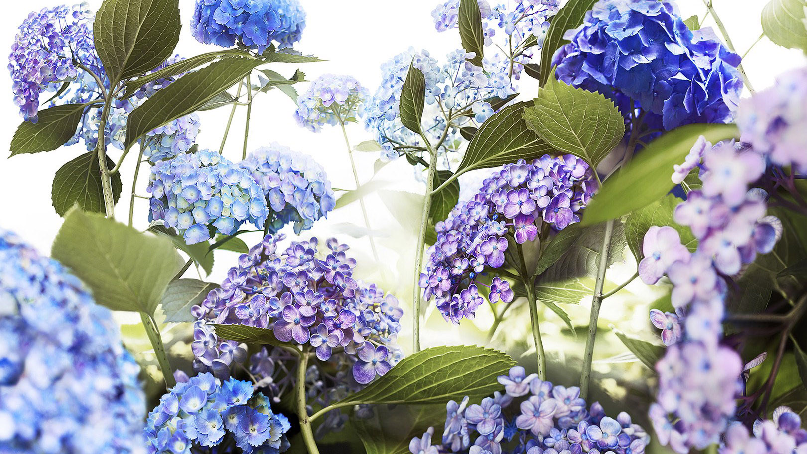 愉悦的小蛇君的个人主页（封面预览） - 主页封面设置 - 站酷设计师愉悦的小蛇君原创素材 - 站酷ZCOOL