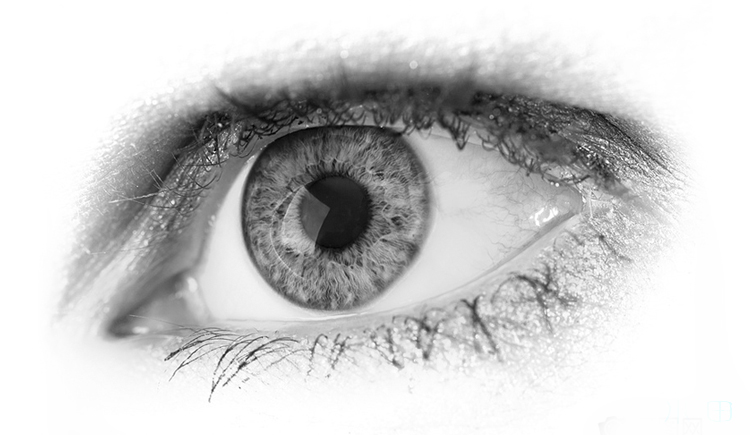 小田T的个人主页（封面预览） - 主页封面设置 - 站酷设计师小田T原创素材 - 站酷ZCOOL