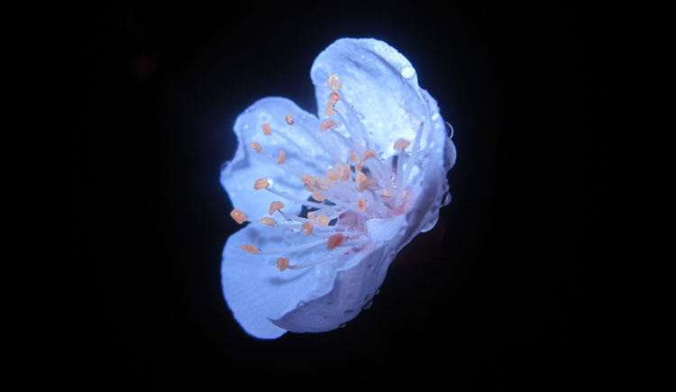 與風(fēng)雨同行的個人主頁（封面預(yù)覽） - 主頁封面設(shè)置 - 站酷設(shè)計師與風(fēng)雨同行原創(chuàng)素材 - 站酷ZCOOL