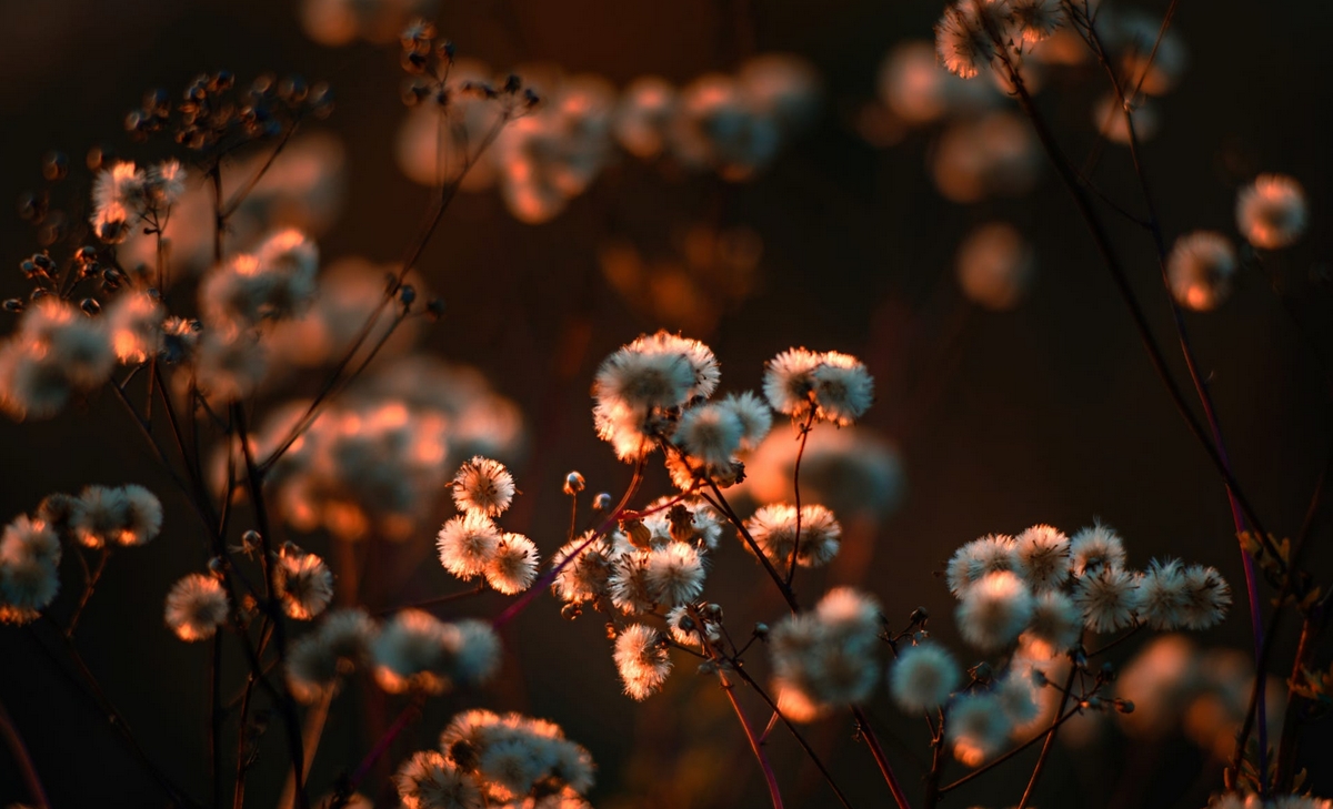 xu_yn的个人主页（封面预览） - 主页封面设置 - 站酷设计师xu_yn原创素材 - 站酷ZCOOL