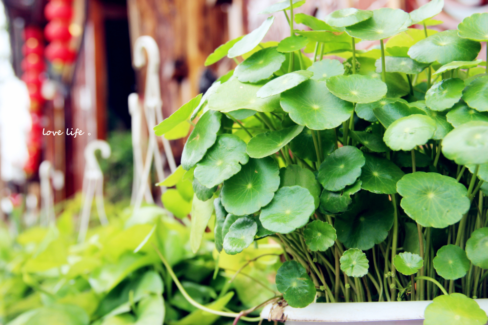 瑶菇凉丶的个人主页（封面预览） - 主页封面设置 - 站酷设计师瑶菇凉丶原创素材 - 站酷ZCOOL