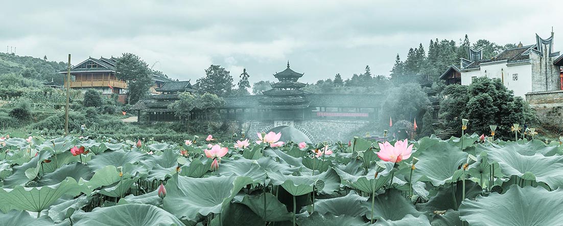 老木棉的個(gè)人主頁(yè)（封面預(yù)覽） - 主頁(yè)封面設(shè)置 - 站酷設(shè)計(jì)師老木棉原創(chuàng)素材 - 站酷ZCOOL