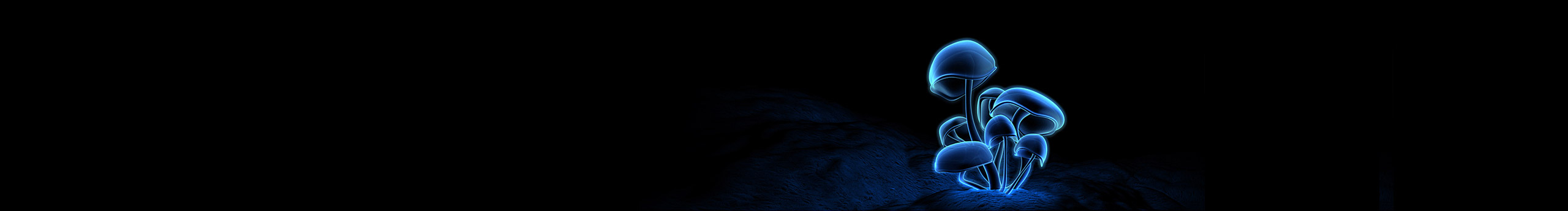 Emily_CC的个人主页（封面预览） - 主页封面设置 - 站酷设计师Emily_CC原创素材 - 站酷ZCOOL