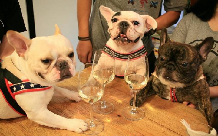 女一號(hào)的個(gè)人主頁（封面預(yù)覽） - 主頁封面設(shè)置 - 站酷設(shè)計(jì)師女一號(hào)原創(chuàng)素材 - 站酷ZCOOL