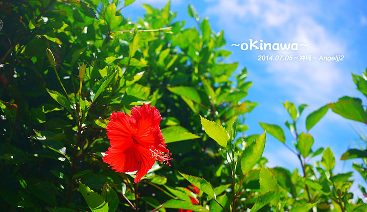 angeljj2的个人主页（封面预览） - 主页封面设置 - 站酷设计师angeljj2原创素材 - 站酷ZCOOL