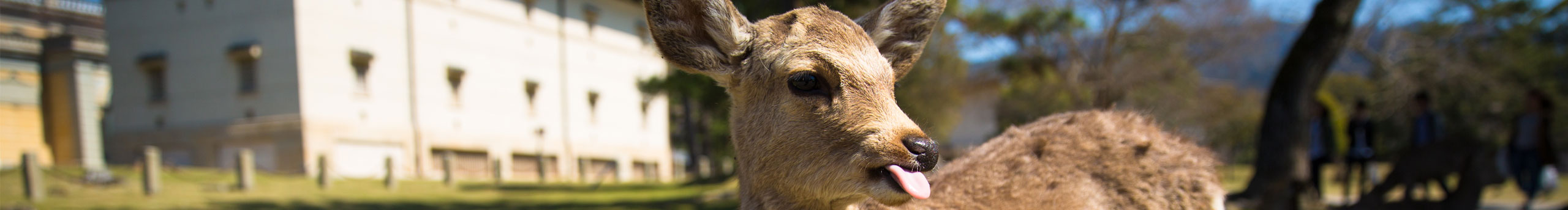 Im_Jenny的个人主页（封面预览） - 主页封面设置 - 站酷设计师Im_Jenny原创素材 - 站酷ZCOOL