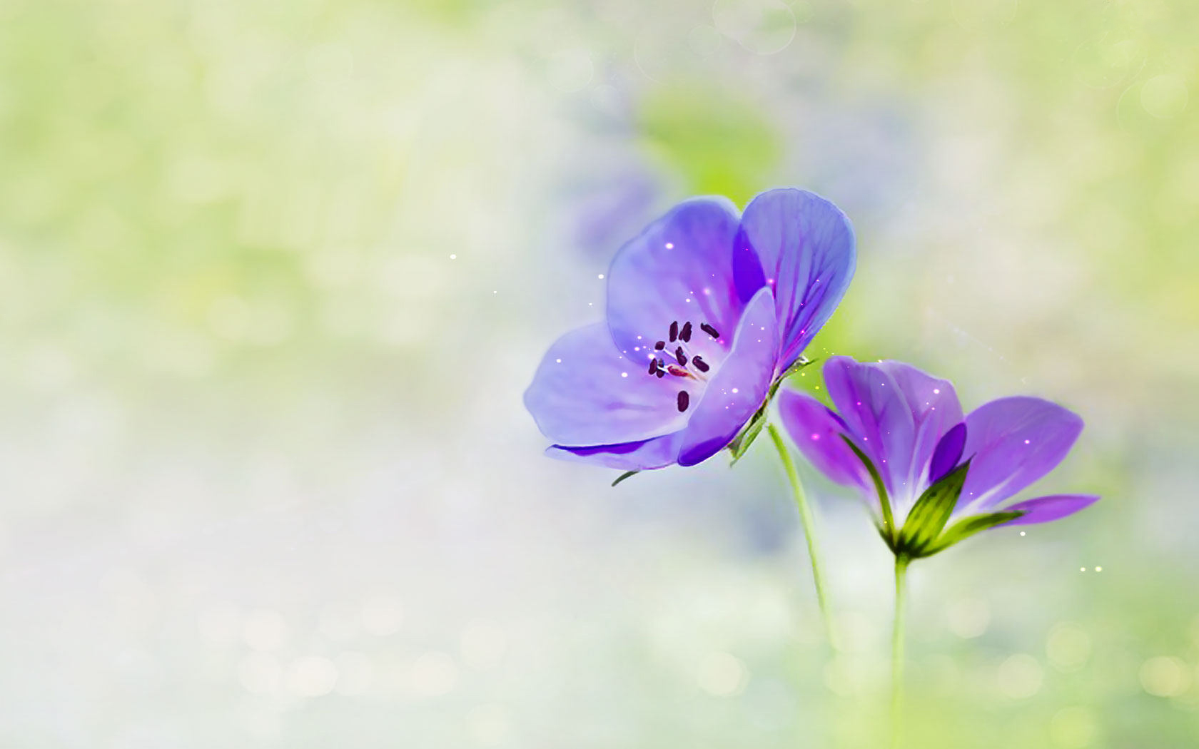 什么开茅塞成语_茅薯是什么薯(2)