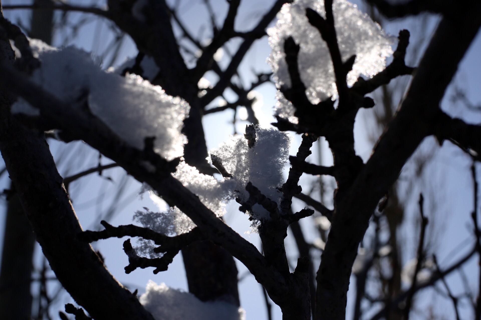 零号特工JOBEE的个人主页（封面预览） - 主页封面设置 - 站酷设计师零号特工JOBEE原创素材 - 站酷ZCOOL
