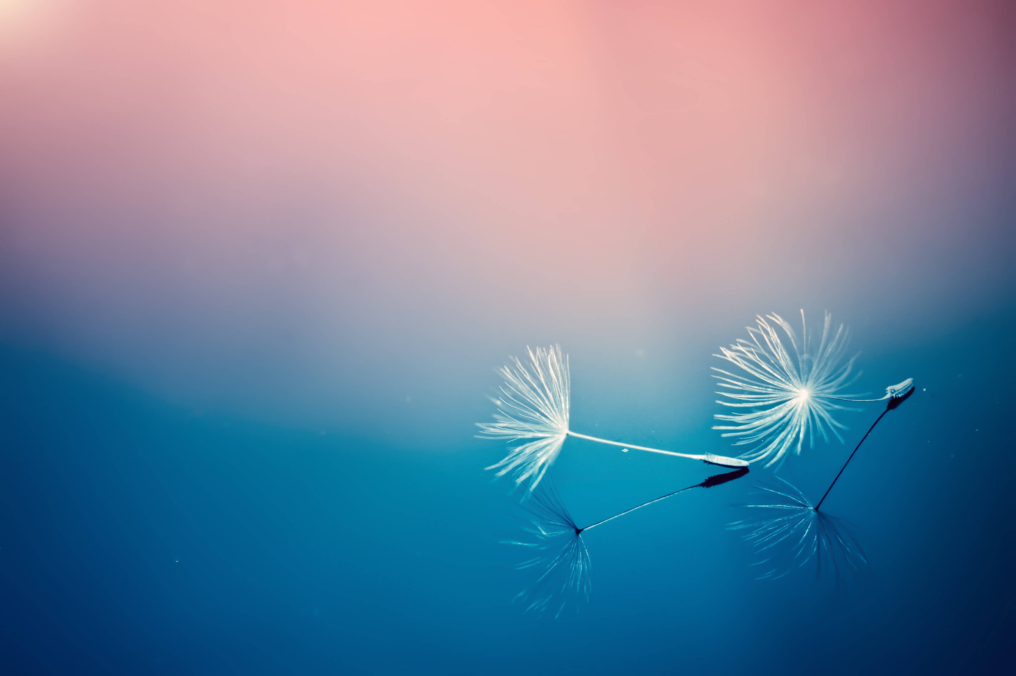 765354134的個(gè)人主頁(yè)（封面預(yù)覽） - 主頁(yè)封面設(shè)置 - 站酷設(shè)計(jì)師765354134原創(chuàng)素材 - 站酷ZCOOL