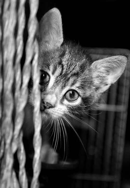 有人986的个人主页（封面预览） - 主页封面设置 - 站酷设计师有人986原创素材 - 站酷ZCOOL