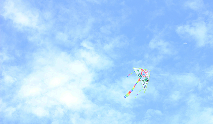 chunbaisn的个人主页（封面预览） - 主页封面设置 - 站酷设计师chunbaisn原创素材 - 站酷ZCOOL