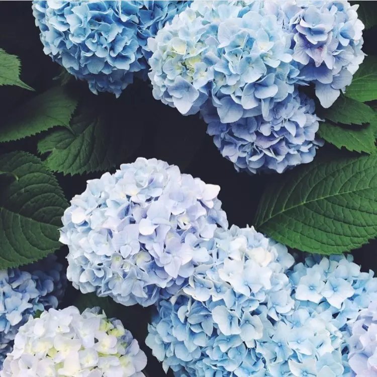 王玉情的個(gè)人主頁(yè)（封面預(yù)覽） - 主頁(yè)封面設(shè)置 - 站酷設(shè)計(jì)師王玉情原創(chuàng)素材 - 站酷ZCOOL