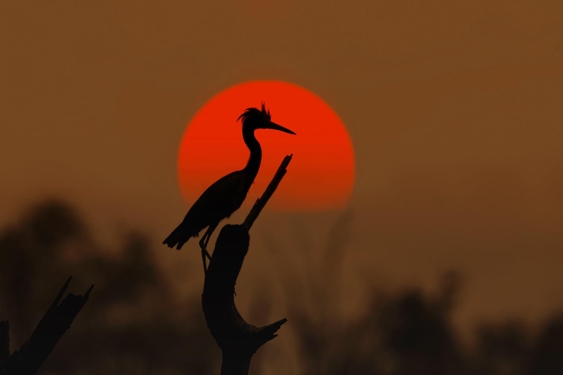 胡三火的個人主頁（封面預覽） - 主頁封面設置 - 站酷設計師胡三火原創(chuàng)素材 - 站酷ZCOOL