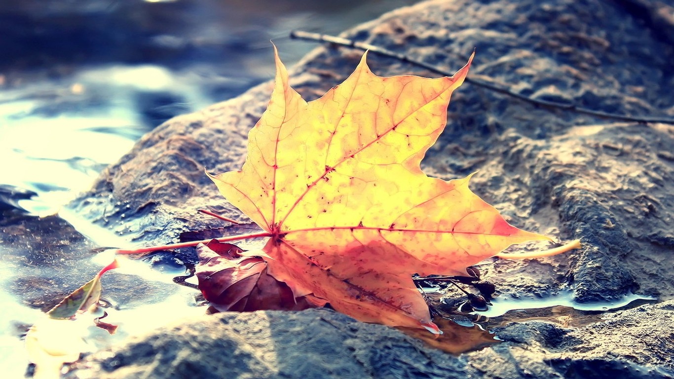 hytas54浮堂的个人主页（封面预览） - 主页封面设置 - 站酷设计师hytas54浮堂原创素材 - 站酷ZCOOL