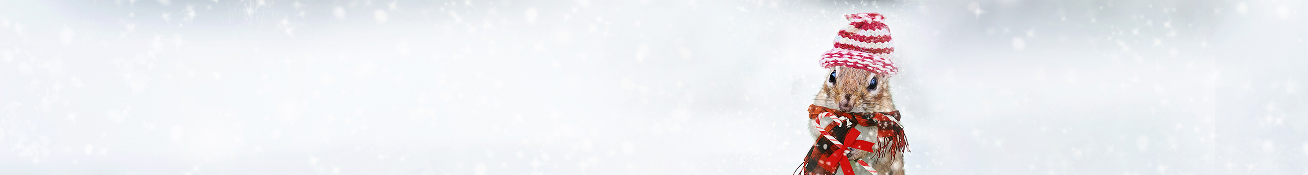 星星戰(zhàn)士的個人主頁（封面預覽） - 主頁封面設置 - 站酷設計師星星戰(zhàn)士原創(chuàng)素材 - 站酷ZCOOL