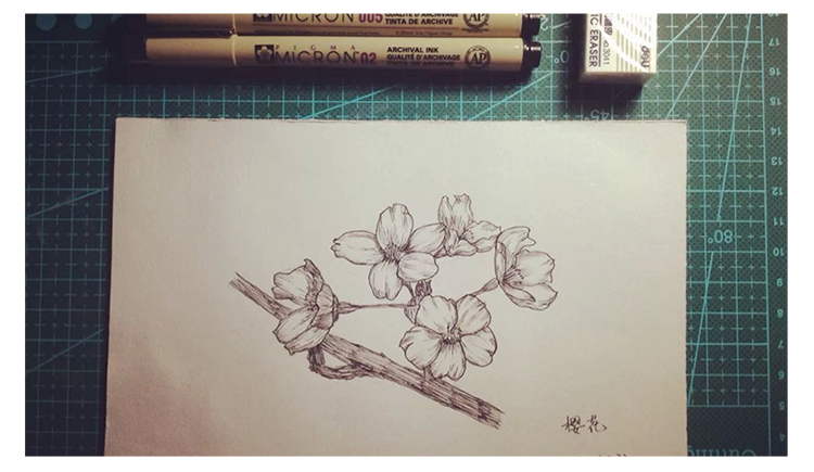 猫猫守望者的个人主页（封面预览） - 主页封面设置 - 站酷设计师猫猫守望者原创素材 - 站酷ZCOOL