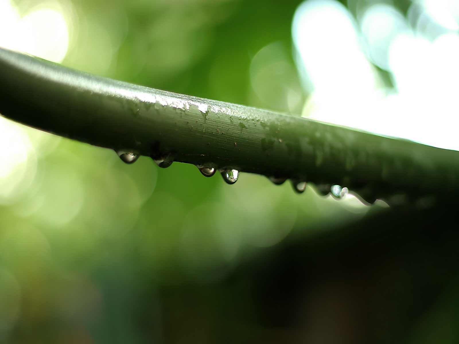 千偈文化的個人主頁（封面預(yù)覽） - 主頁封面設(shè)置 - 站酷設(shè)計(jì)師千偈文化原創(chuàng)素材 - 站酷ZCOOL