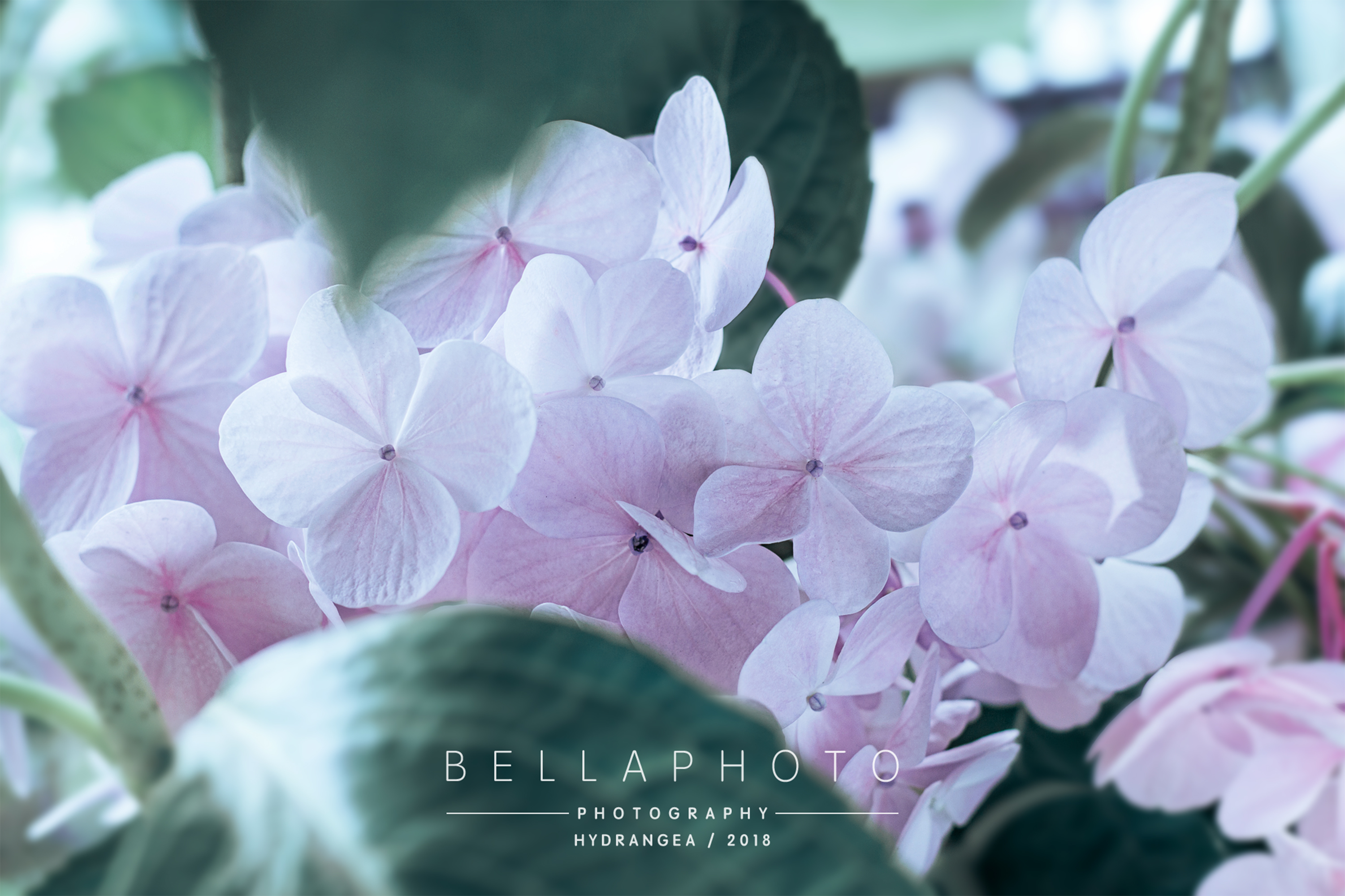 beirou1234567的個(gè)人主頁(yè)（封面預(yù)覽） - 主頁(yè)封面設(shè)置 - 站酷設(shè)計(jì)師beirou1234567原創(chuàng)素材 - 站酷ZCOOL