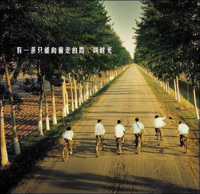 豆号的个人主页（封面预览） - 主页封面设置 - 站酷设计师豆号原创素材 - 站酷ZCOOL