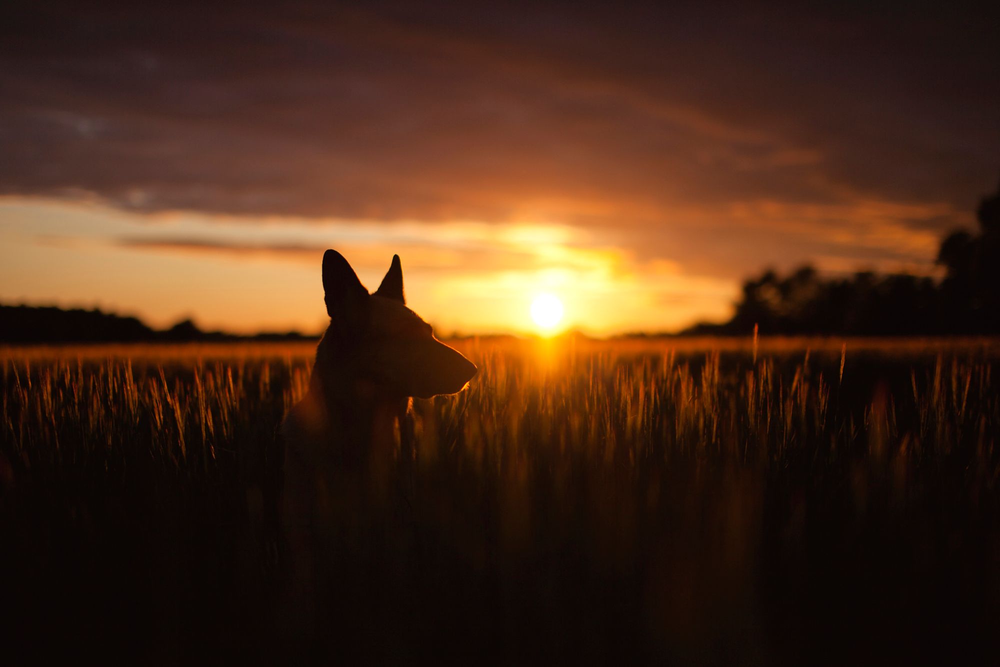 老年广场舞大妈的个人主页（封面预览） - 主页封面设置 - 站酷设计师老年广场舞大妈原创素材 - 站酷ZCOOL