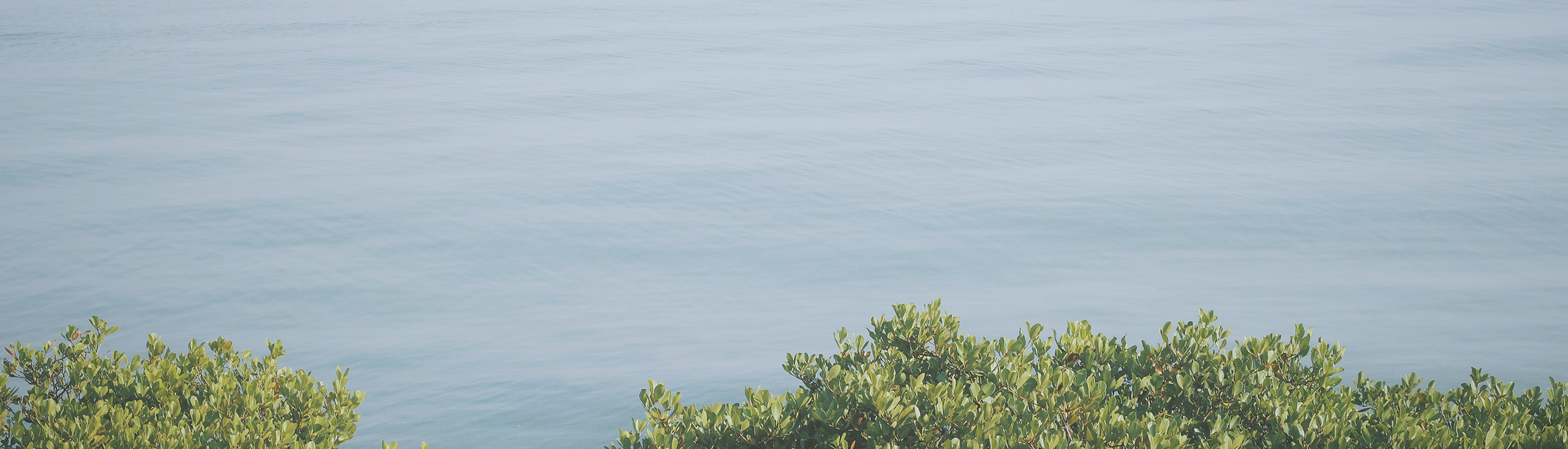 慕堯的個人主頁（封面預覽） - 主頁封面設置 - 站酷設計師慕堯原創(chuàng)素材 - 站酷ZCOOL