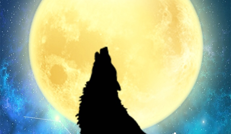 Gemon猛的個(gè)人主頁（封面預(yù)覽） - 主頁封面設(shè)置 - 站酷設(shè)計(jì)師Gemon猛原創(chuàng)素材 - 站酷ZCOOL